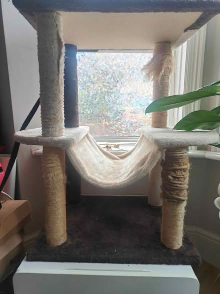 Photo of free Well used cat tree (NW2 2AU) #3