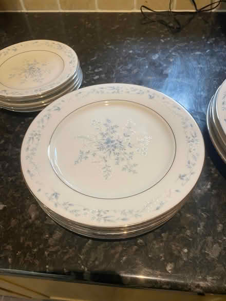 Photo of free Fine China Plates (CT10) #1