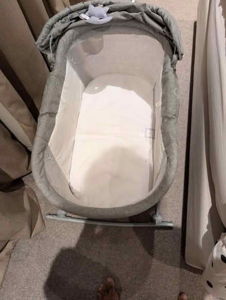 Photo of free New born mosses basket (Crystal palace) #2