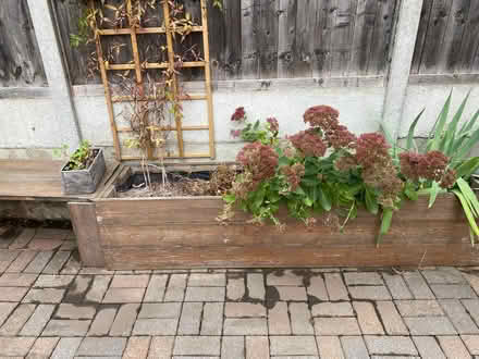 Photo of free wooden planters and benches (peckham) #3