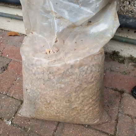 Photo of free Garden gravel, buff, natural, light pink (Stifford Clays RM16) #2