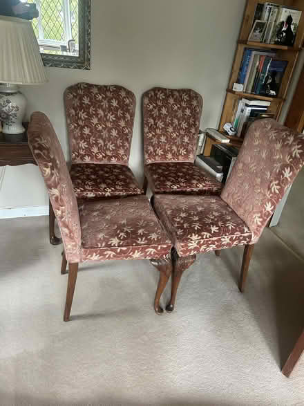 Photo of free Four dining room chairs (Elmstead BR7) #2