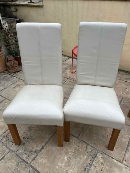 Photo of free Dining chairs (Kingsway) #1
