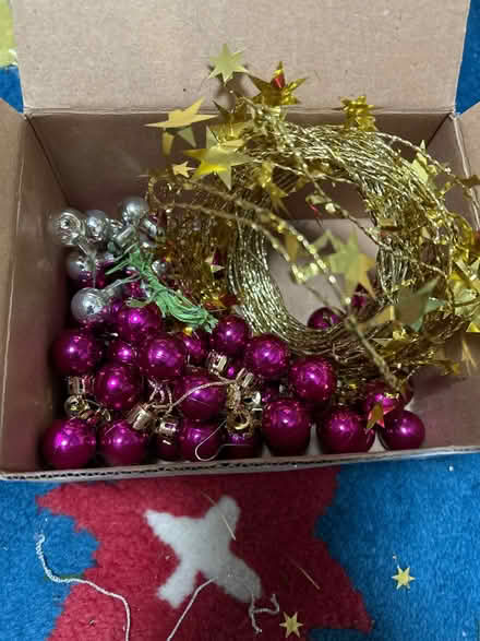 Photo of free Christmas Decorations! (South Woodchester GL5) #1