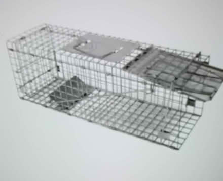 Photo of Squirrel trap (Hatch Warren RG22) #1