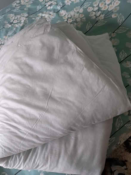 Photo of free Duvet single (Belper) #1