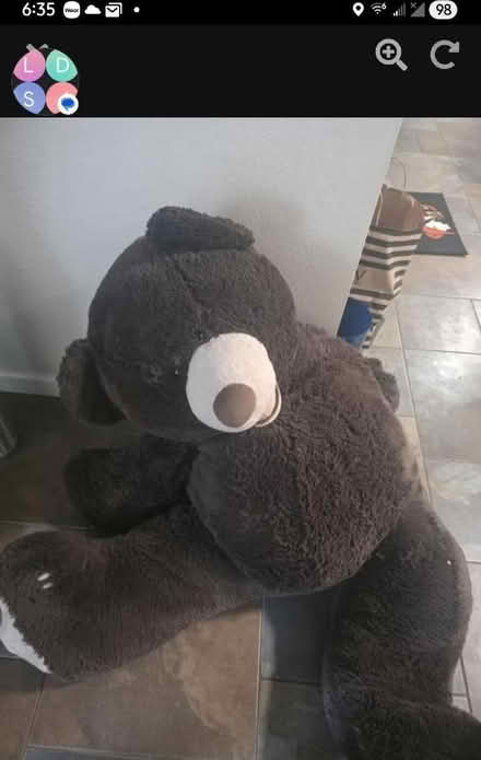 Photo of free Stuffed BEAR LARGE (San jose) #1