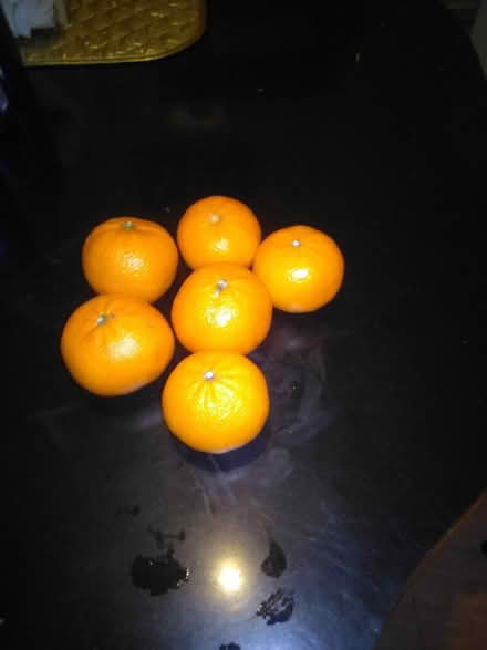 Photo of free Misc food items (60th cedar ave 19143) #2