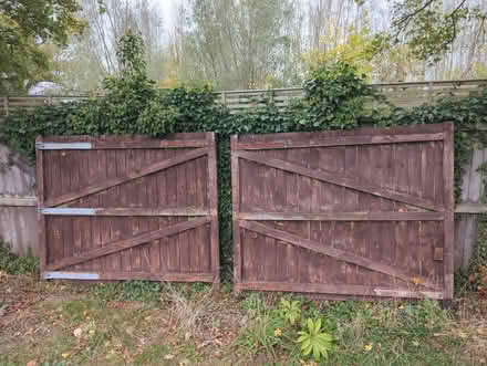 Photo of free Pair of wooden gates (Chargrove GL53) #2