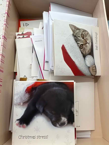 Photo of free Christmas cards (Boxmoor, Hemel Hempstead) #1