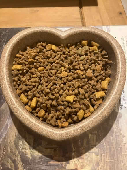 Photo of free Heart shaped cat food bowl 🐈⬛ (Waddon) #1