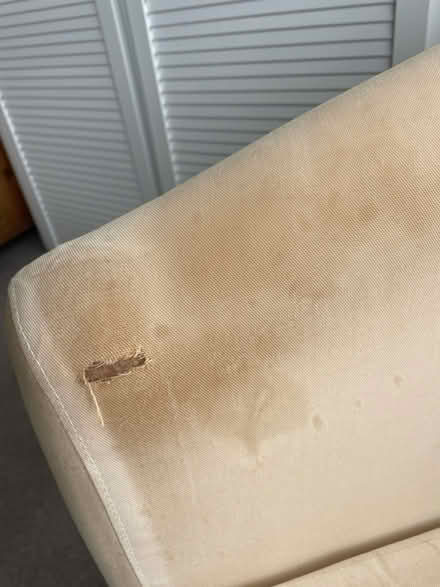 Photo of free IKEA club chair (Beechwood NP19) #3