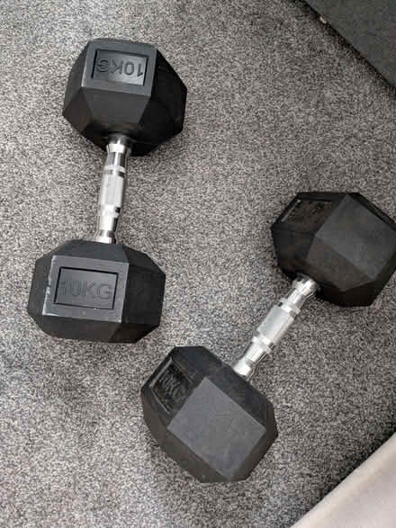 Photo of free Two 10KG Weights / Dumbbells (Townhill KY12) #1
