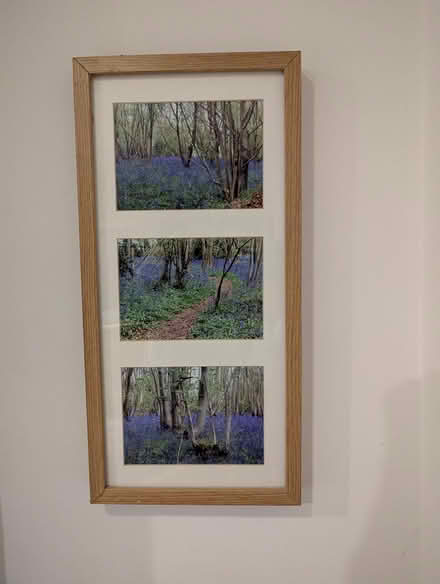 Photo of free Pictures (Brentford TW8) #2