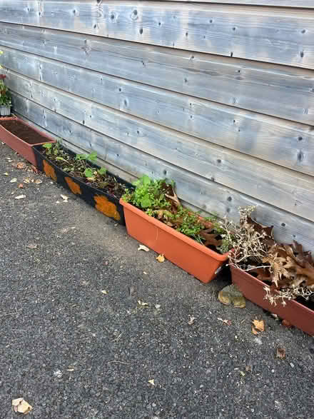 Photo of Old window box’s (Tallaght) #1