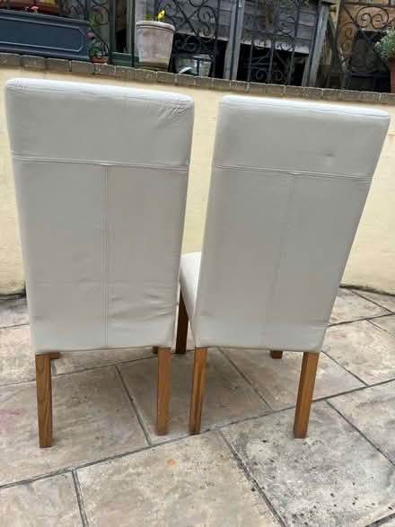 Photo of free Dining chairs (Kingsway) #3