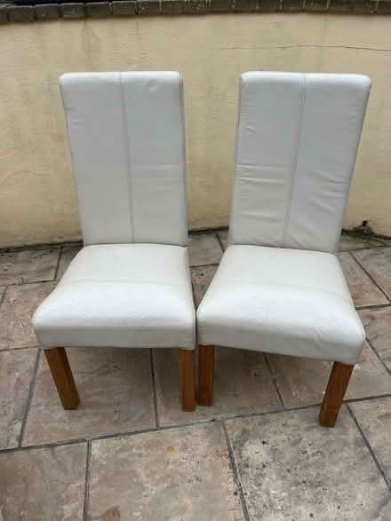 Photo of free Dining chairs (Kingsway) #2