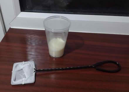 Photo of free Fish Net & Aquarium Salt (Shaw Side OL2) #1