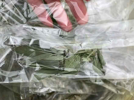 Photo of free fresh herbs and spring onions (Barbourne WR3) #2