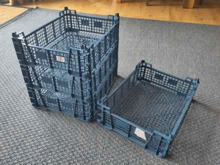 Photo of free Plastic trays (Bexhill old town, TN40) #1