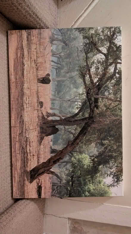 Photo of free Three canvas pictures (Caistor Park Road E15) #3