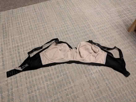 Photo of free Bra 34F Panache no under wire (Heaton) #4