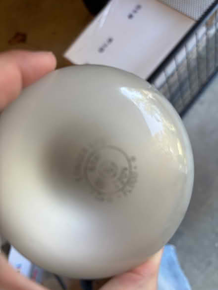 Photo of free Large light bulbs (Parole) #2