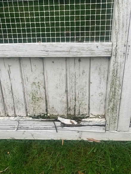 Photo of free Guine pig run (Riverside B98) #4