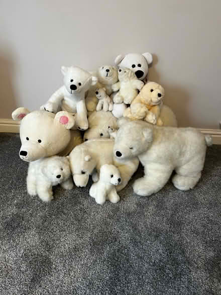 Photo of free Polar bear soft toys (Southwater) #1