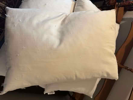 Photo of free Three feather pillows (Kingsway CB4) #3