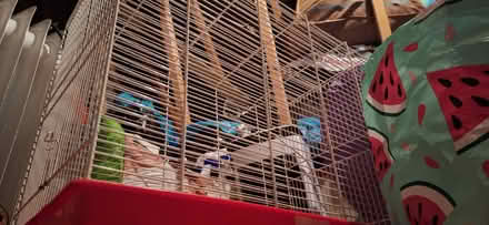 Photo of free Bird cage (Penrith CA11) #1