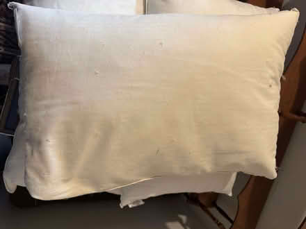 Photo of free Three feather pillows (Kingsway CB4) #2