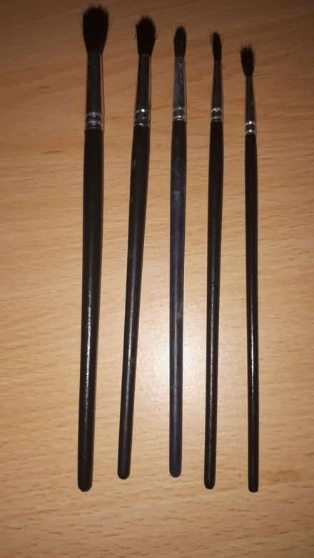 Photo of free Artist Paint Brushes (Cressex HP12) #1