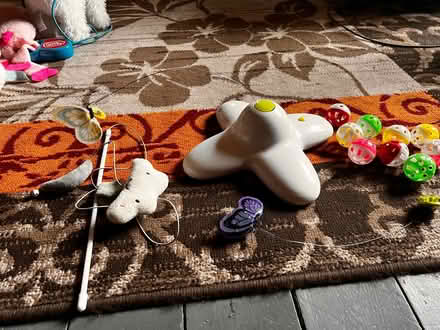 Photo of free Kat / kitten toys (Spondon DE21) #1