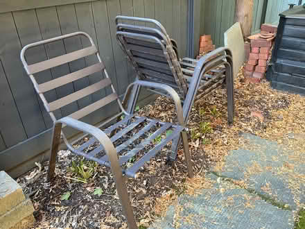 Photo of free Patio chairs with cushions (Bronson & Holmwood) #2