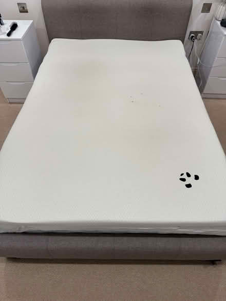 Photo of free Mattress Topper (Clerkenwell EC1M) #3