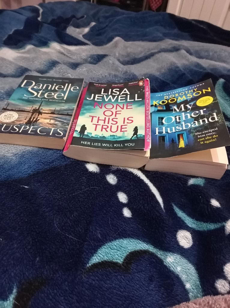 Free: 3 books, 1 lisa jewell, danielle steel, (Maidenhead SL6 ...