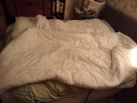 Photo of free COLLECTION PENDING. King-Size Winter Quilt and Cover. (Upton Priory SK10) #1