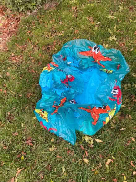 Photo of free Paddling pool (Chilton OX11) #1