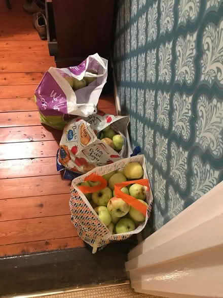Photo of free Apples, cooking (BT80 8JY) #1