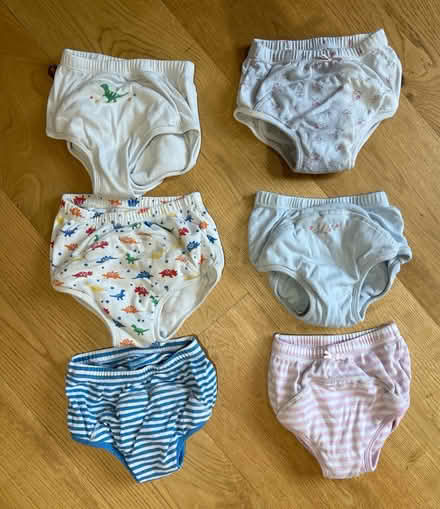 Photo of free Potty training pants (Lindfield) #1