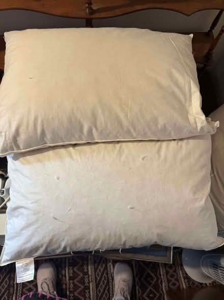 Photo of free Three feather pillows (Kingsway CB4) #1