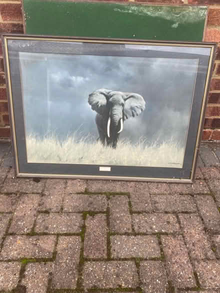 Photo of free Elephant Print (Farnborough) #1