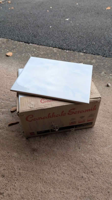 Photo of free Box of tiles (Priory Ward EX2) #3