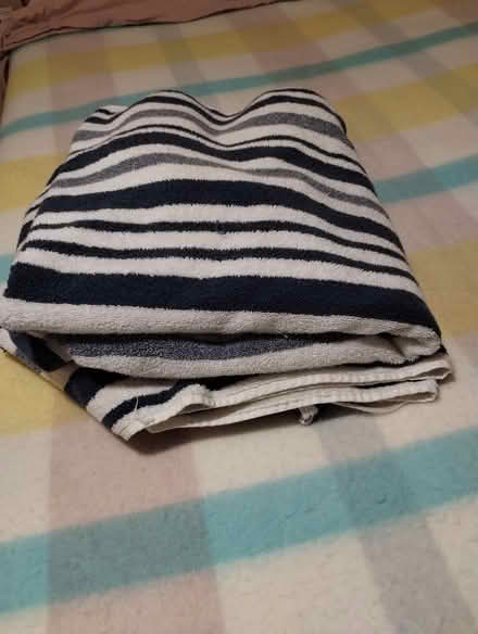 Photo of free 2 bath sheets (Speedwell Bristol) #2