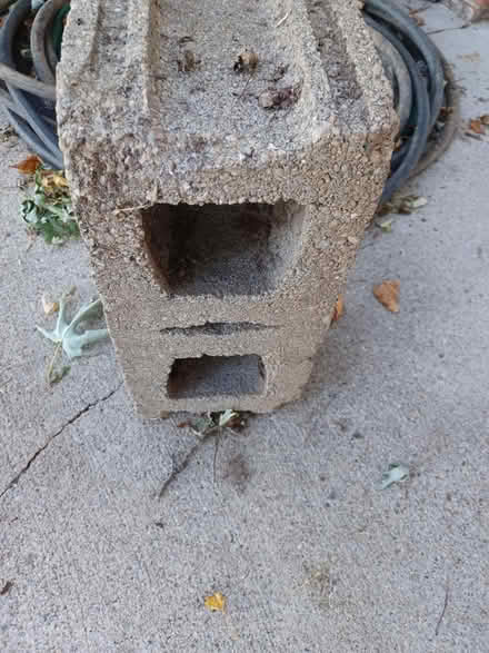 Photo of free Concrete Block (Greenfield) #1