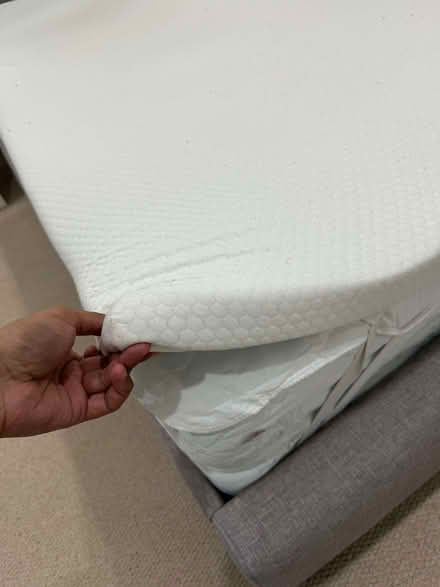 Photo of free Mattress Topper (Clerkenwell EC1M) #2