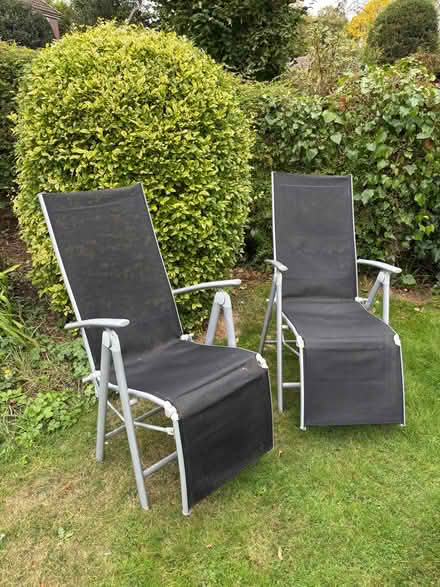 Photo of free Garden chairs (Writtle CM1) #1