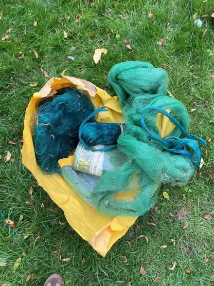 Photo of free Pea and bean netting (Iffley Road OX4) #1
