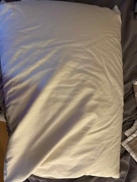 Photo of free 2 bed pillows (Arlington Heights) #3